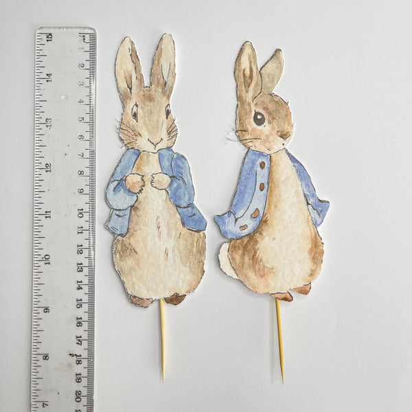 Peter Rabbit Cake Toppers | 2 different poses