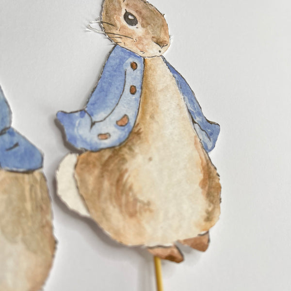 Peter Rabbit Cake Toppers | 2 different poses
